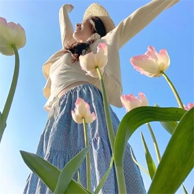 花月佳期电影版