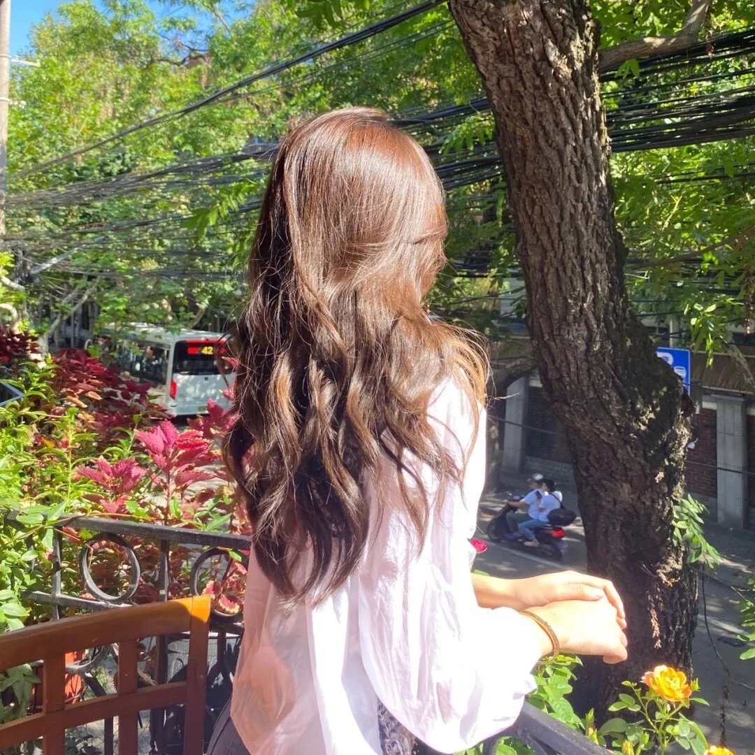 鸟